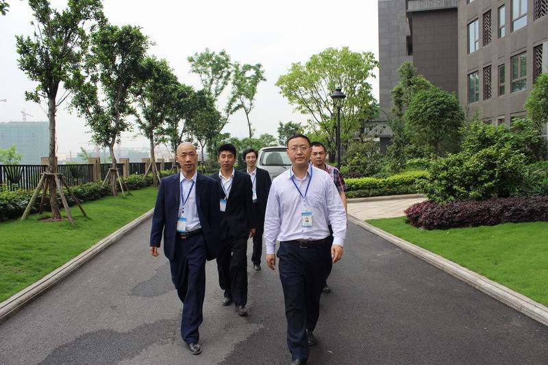 新思路裝飾“4•25工地大巡查”紀實