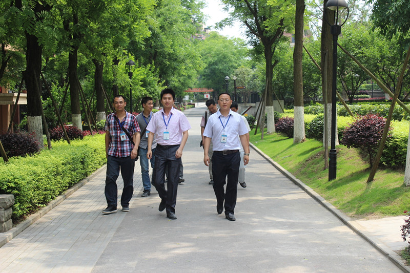 新思路裝飾“5•30工地大巡查”紀實