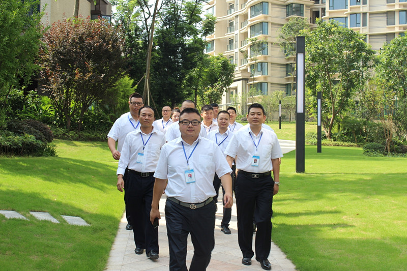 新思路裝飾“7•18工地大巡查”紀實